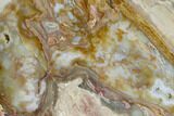Polished Lysite Agate Slab - Wyoming #150602-1